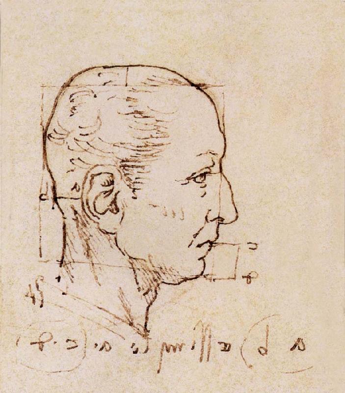 LEONARDO da Vinci Study of the proportion of the head oil painting picture